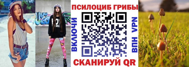 blacksprut вход  Березники  Галлюциногенные грибы Magic Shrooms 